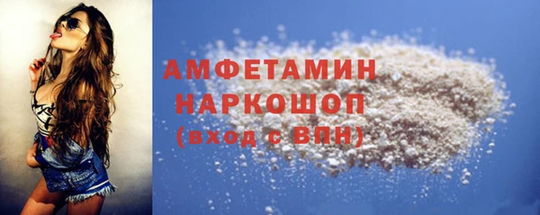 спиды Бородино