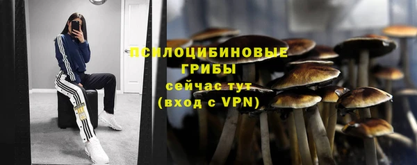 молекула духа Бугульма