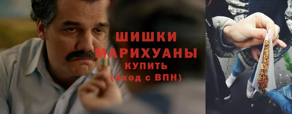 спиды Бородино