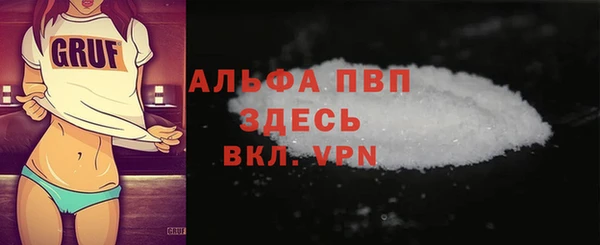 спиды Бородино