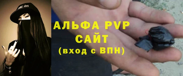 спиды Бородино