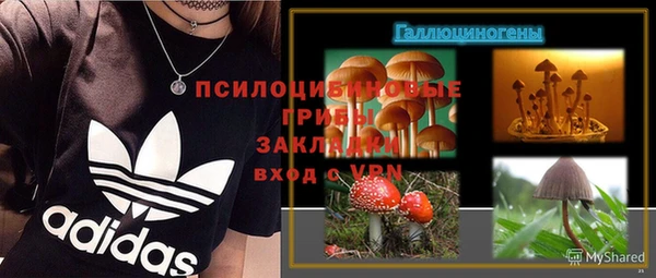 молекула духа Бугульма